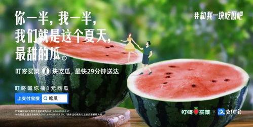 吃瓜舒服文案,揭秘吃瓜舒服的奥秘与乐趣