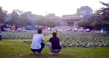 新余学院吃瓜事件,校园风波背后的真相揭秘