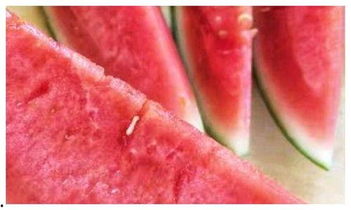 沙瓜和脆瓜吃的区别图片