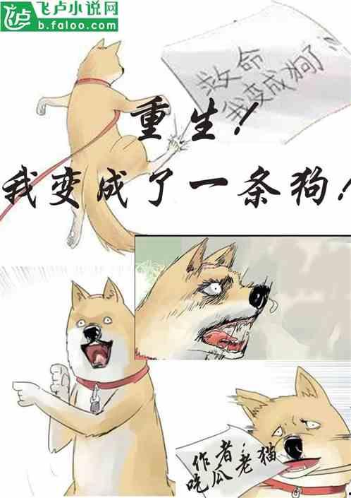 吃瓜到家小说,揭秘娱乐圈背后的秘密与真相