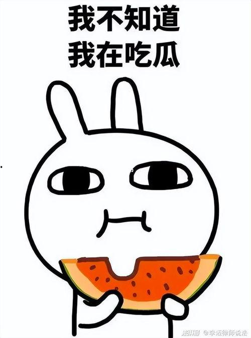 抿嘴吃瓜图,揭秘网络热议背后的趣味与真相