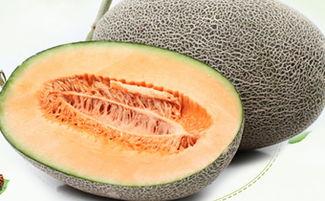 吃哈密瓜拉肚子怎么办