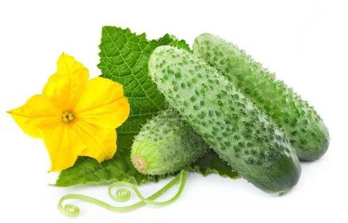 吃瓜系统宋棠,揭秘娱乐圈背后的真相与笑料