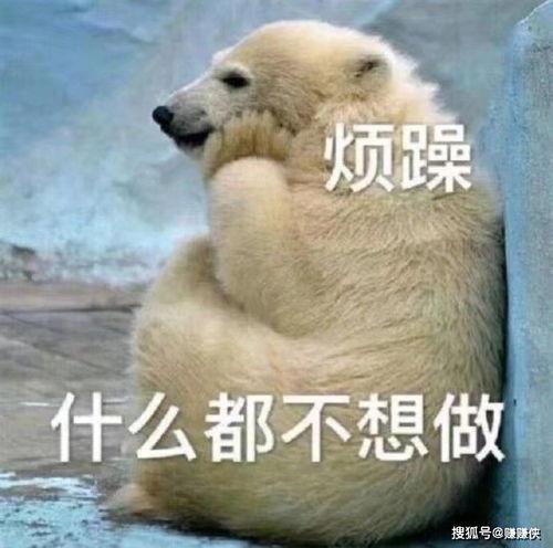 小型吃瓜群众图片图文