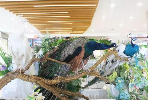 情侣商场吃瓜,情侣商场甜蜜吃瓜瞬间