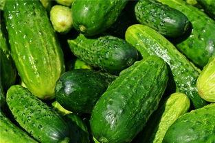 梦见吃歪瓜,揭秘吃歪瓜背后的神秘寓意