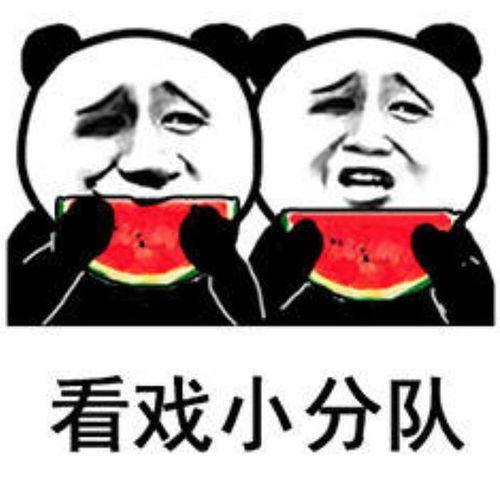 开始吃瓜看戏,揭秘娱乐圈背后的故事