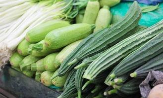 广州南艺吃瓜,揭秘网红打卡地的吃瓜趣事