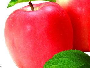 孕妇吃苹果瓜好处,双重营养守护母婴健康