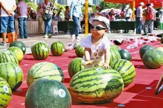 龙泉吃瓜事件,一场网络狂欢背后的真相与反思