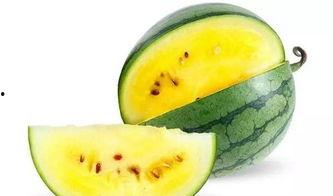 带你吃瓜郑州,跟随“带你吃瓜”探寻地道的郑州风味