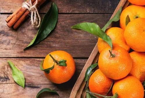 渣渣瓜吃橘子,一场味蕾的奇妙之旅