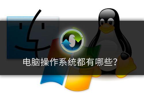 吃瓜系统小白,轻松掌握瓜界潮流