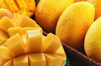 吃瓜芒果君,揭秘娱乐圈那些不为人知的幕后故事