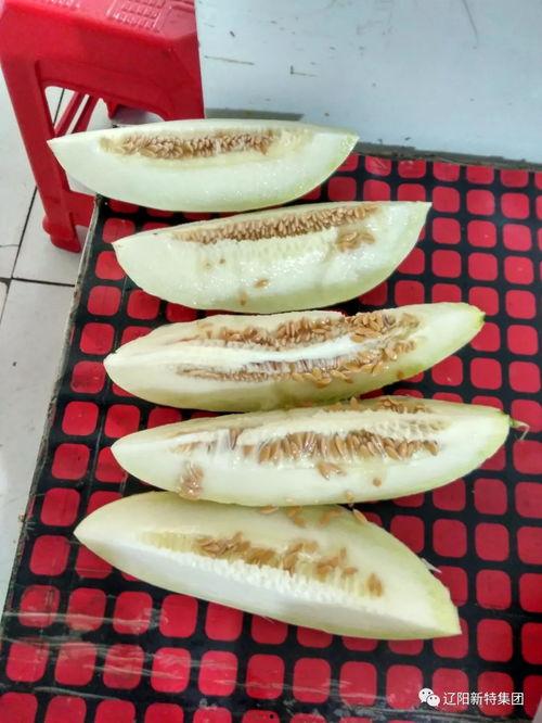 带官吃瓜,揭秘官场背后的故事与真相