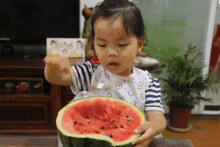 吃瓜群众免费吃瓜故事,一场全民参与的吃瓜盛宴