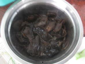 蒲瓜可以和腊肠一起吃吗,美味佳肴新尝试