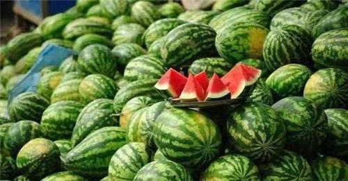 吃瓜完,吃瓜群众视角下的娱乐圈风云录