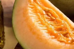 张志强唱请你吃块哈密瓜,请你吃块哈密瓜