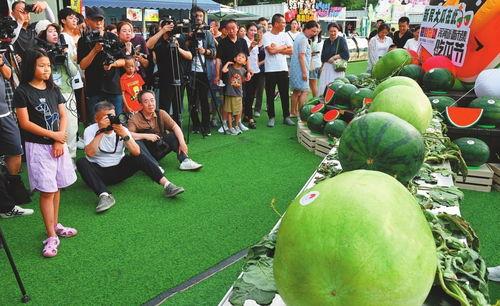 吃瓜节,一场全民狂欢的美食盛宴