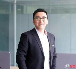 公司总裁吃瓜,揭秘企业高层背后的八卦风云