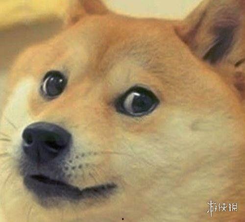 吃瓜狗头表情含义,网络表情背后的社交心理解码