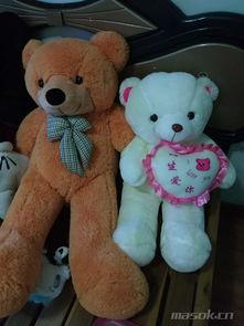 毛绒熊吃瓜,毛绒熊的夏日瓜趣之旅