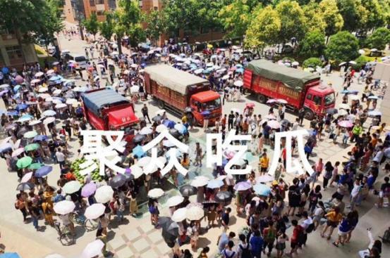 吃瓜台州学校,揭秘“吃瓜”背后的校园生活