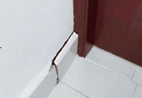 猫咪躲在角落吃瓜,瓜香四溢的悠闲时光