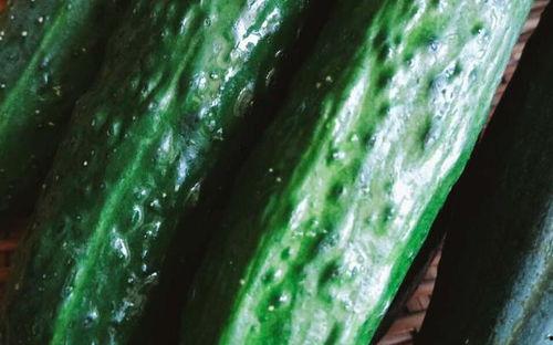 拥有吃瓜系统的我,网络时代的全民娱乐盛宴