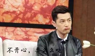 吃胡歌大瓜,揭秘娱乐圈的甜蜜与苦涩