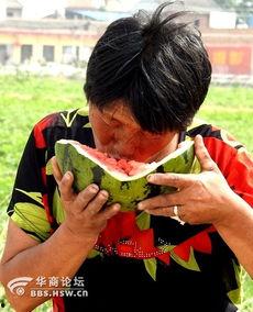 老太太吃瓜视频,老太太的欢乐吃瓜日常