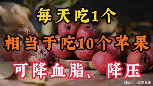 血瓜虫吃文案,揭秘神秘生物的生存智慧与生态影响